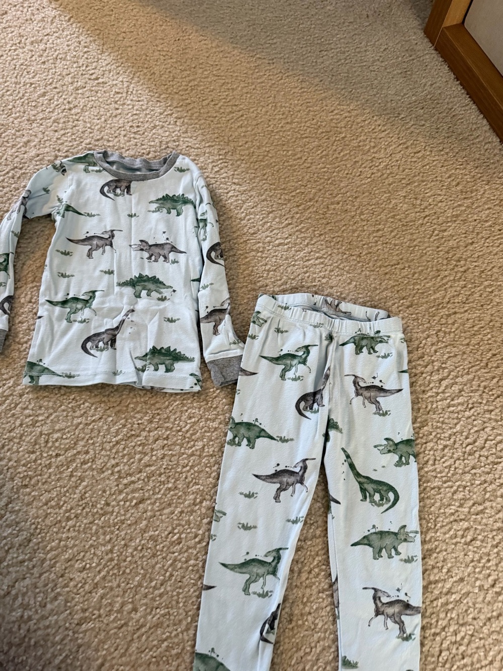 Burt's Bees Dino Print Pajama Set in Green and Gray